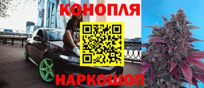 тгк Моздок