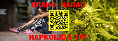 тгк Моздок
