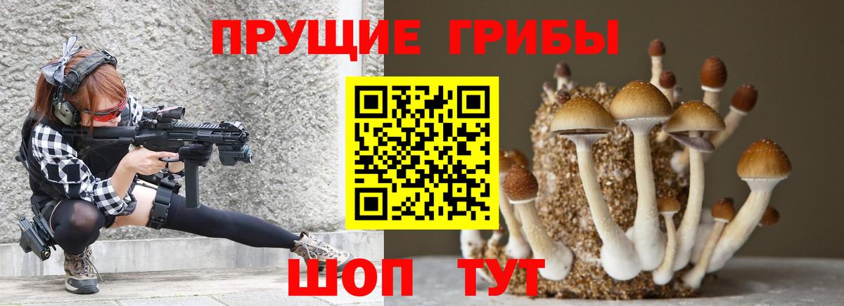 Псилоцибиновые грибы MAGIC MUSHROOMS  Псилоцибиновые грибы прущие грибы  Уссурийск  Вход с VPN 